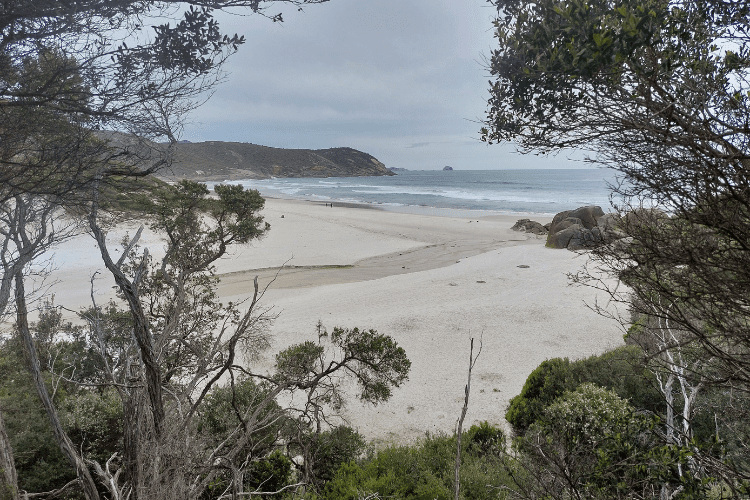 Squeaky To Whisky Bay Trail Wilsons Prom