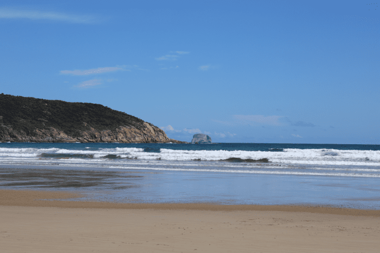 Norman's Beach, Wilson's Prom