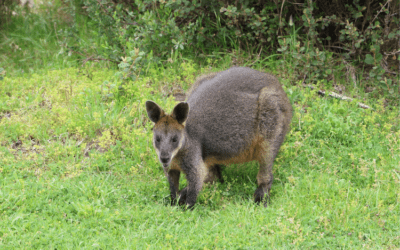 3 nights in Wilsons Prom