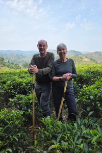 Bwindi National Park - Gorillas - Walking Poles