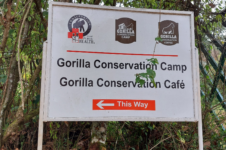 Conservation Through Public Health Buhoma Bwindi