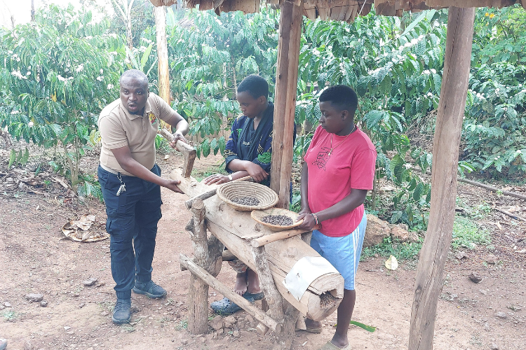 Grinding coffee machine Buhoma Bwindi