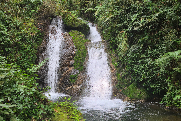 Waterfall Buhoma waterfall trail bwindi