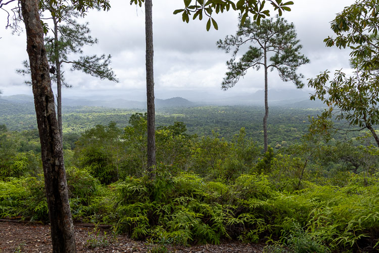 Bens Bluff Belize