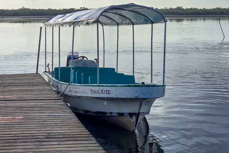Boat to Explore Crooked Tree Lagoon