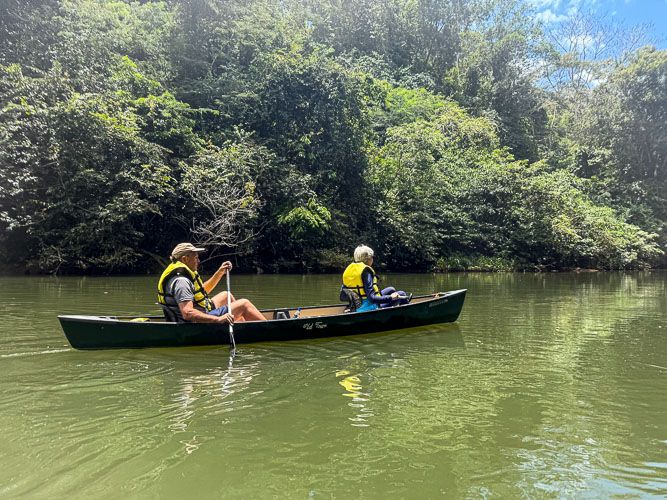 Canoe from Botanic Gardens
