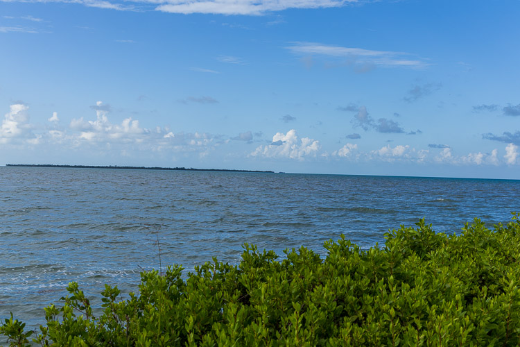 Caribbean Sea Belize