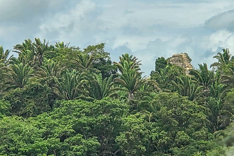 First View of Lamanai