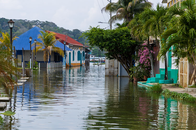 Floode perimeter of Flores