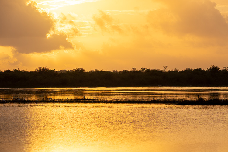 Sunrise at Crooked Tree Lagoon
