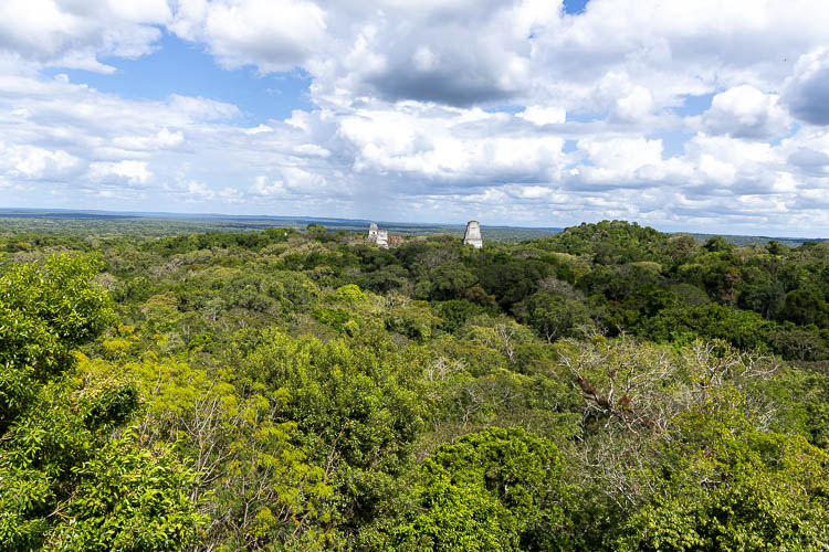 View from Temple IV Tikal Star Wars